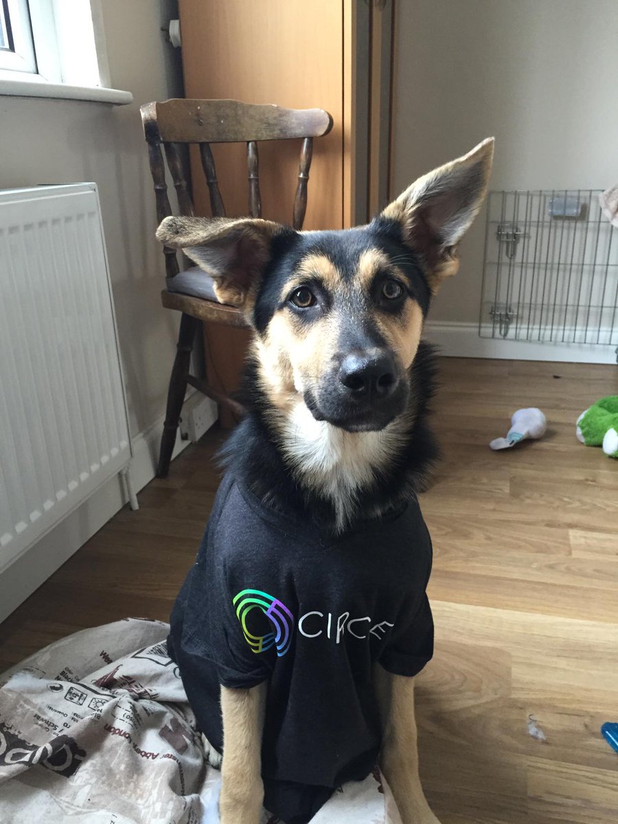 The original 2015 photograph of Aros wearing a black Circle T-shirt